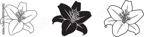 Lily Flower Line Icons Set, Elegant Floral Outline Vector Collection for Botanical and Wedding Design