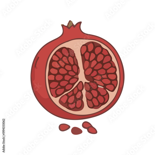 Fresh Half Pomegranate Hand Drawn Illustration