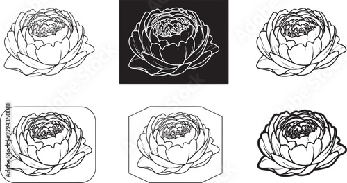 Peony Flower Line Icons Set, Elegant Floral Outline Vector Collection for Botanical and Wedding Design