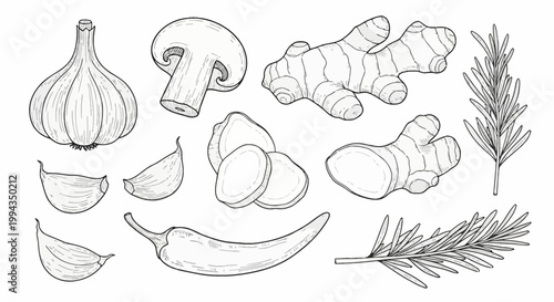 Hand-drawn collection of kitchen ingredients including a whole garlic bulb, individual cloves, sliced button mushroom, fresh ginger root, sliced ginger, a chili pepper, and rosemary sprigs.
