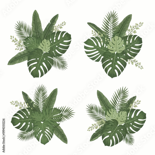 cannabis leaf vector illustration