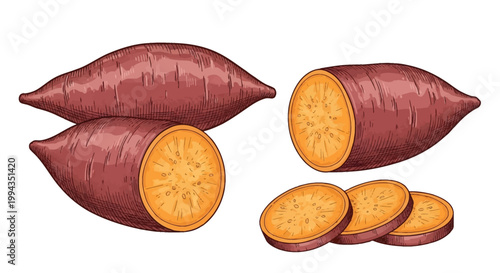 Hand-drawn illustration of sweet potatoes with one whole root, two halves, and three slices, featuring detailed cross-hatching shading, purple skin, and orange flesh on white.