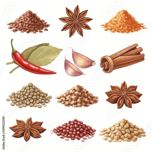 collection of spices isolated