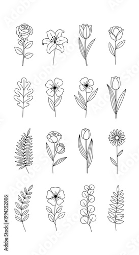 Flowers hand drawn set with delicate black line art featuring floral, nature, plants with botanical and illustration elements for sketch, drawing