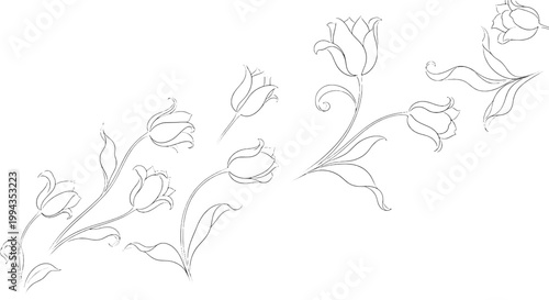 Tulips hand-drawn set with delicate floral lines and elegant curves featuring botanical, nature, flowers with garden and spring elements for summer,