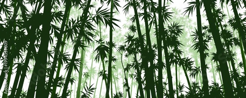 Dense Bamboo Forest Background – Lush Green Jungle with Tall Bamboo Trees, Natural Woodland Texture, Serene Eco Landscape for Nature Design