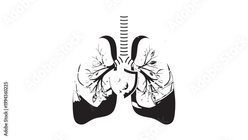 Detailed Illustration of Human Lungs with Trachea and Bronchi in Black and White.