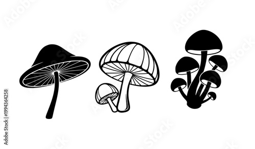 Stylized Black Mushroom Silhouette Collection with Artistic Botanical Vector Shapes on White Background