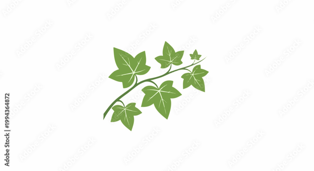 Fototapeta premium Delicate green vine with five pointed leaves on a plain white background