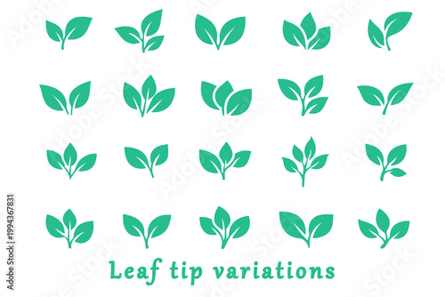 Set of leaf tip variation