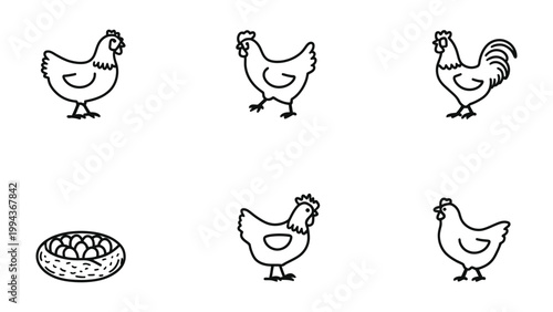 Chickens and Eggs Illustration: A charming, minimalist illustration showcases a collection of chicken and an eggs. The hand-drawn style enhances the rural, simplistic aesthetic. 