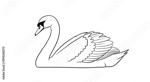 Elegant black and white outline sketch of a swan swimming peacefully on water for coloring or nature illustrations.