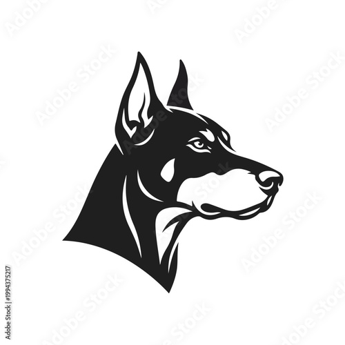 Black and white Doberman dog.