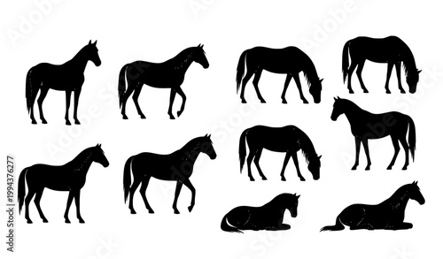 Minimal Horse Silhouette Set Featuring Standing, Walking and Grazing Equine Vector Illustrations