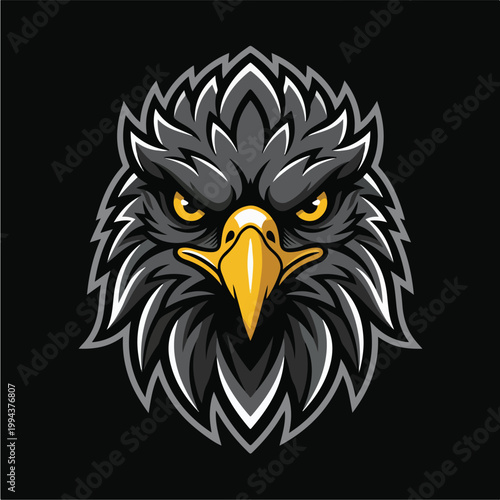 Eagle Head Illustration Closeup 1.