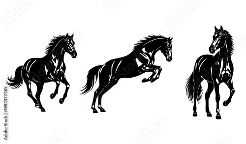 Black horse silhouette vector set equestrian running jumping poses