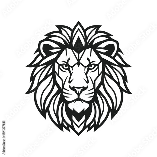 Lion Head Black and White.