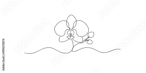 Fotografie single line abstract orchid flower