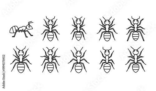 Minimal ants icons black and white insect line art vector illustration isolated on white