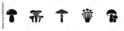 Mushroom Icon Set. Black Silhouettes of Edible and Poisonous Mushrooms. Includes Chanterelles, Porcini, Amanita, and more. Vector Illustration.