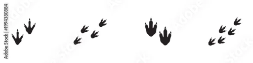 Obraz Prehistoric dinosaur trackway and footprint trails icon set with reptile walking patterns, black silhouettes isolated on white background. Vector Illustration.	
