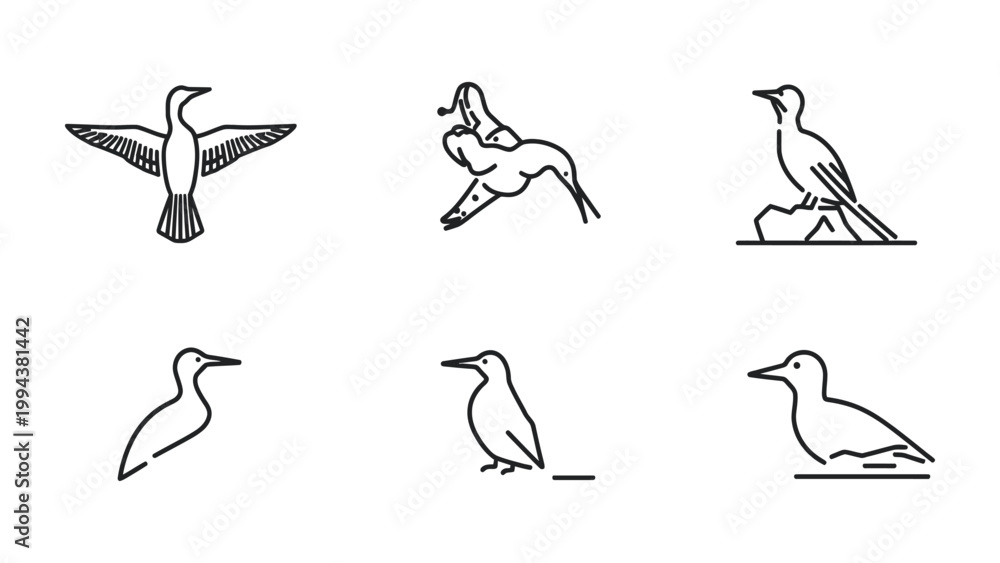 Fototapeta premium Feathered Friends: A minimalist line art composition showcases a collection of bird illustrations, capturing the essence of various avian species in simple, elegant strokes.