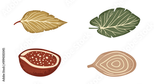 Tropical Leaves and Exotic Fruit Botanical Illustration