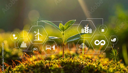 circular economy