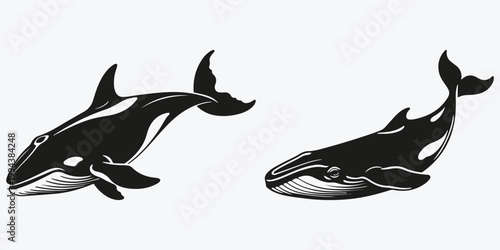 Killer whale logo sketch illustration vector set