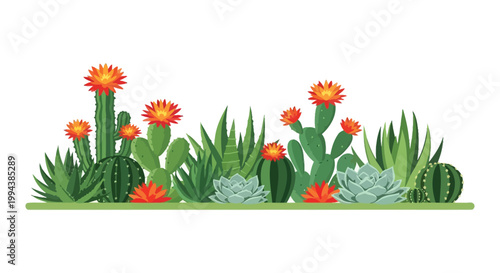 A colorful collection of desert cacti and succulents in a row