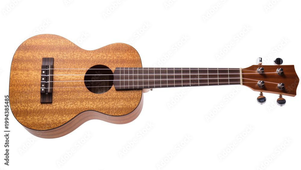 Fototapeta premium Wooden Concert Ukulele with Nylon Strings and Tuning Pegs