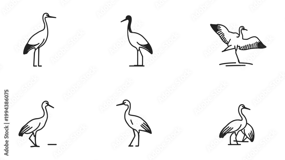 Obraz premium Crane Illustrations: A collection of crane illustrations showcases the elegant form and graceful movements of the bird in various poses.