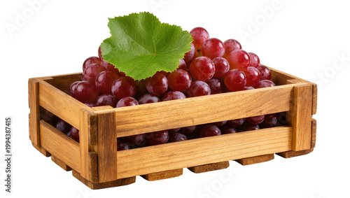 Quadro su tela Wooden crate filled with ripe dark red grapes and green leaf