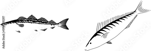 A photorealistic image of a whole raw Monkfish tail showcases its firm, bone-free white meat and greyish skin against a pure white background