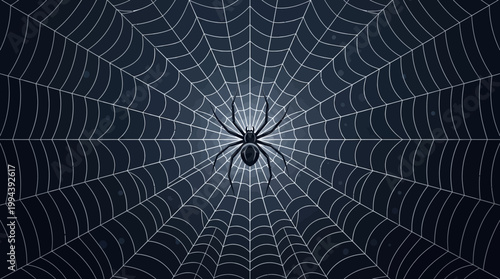 A single black spider centered on a perfectly symmetrical circular web.