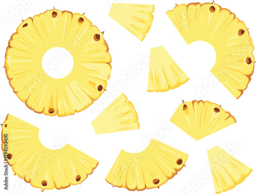Pineapple slices set illustration, tropical fruit pieces fresh food vector design collection