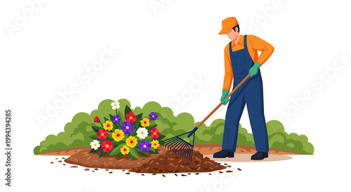 Professional Gardener Raking Mulch in Flower Bed Illustration