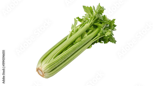 Fresh celery stalk with green leaves  isolated on transparent background cut out