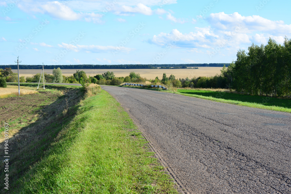 Fototapeta premium an asphalt road in the country with trees and electric pylons copy space