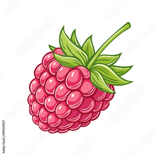 Vibrant illustration of a ripe raspberry with green leaves and stem
