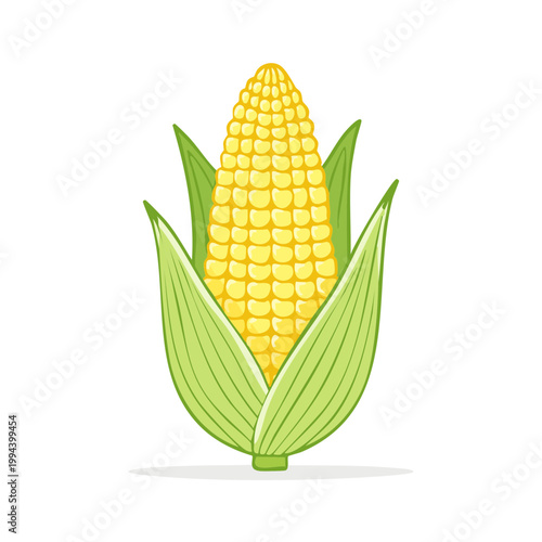 Bright Yellow Corn Cob with Green Leaves, Fresh Harvest Produce Illustration