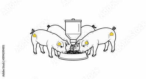 Four pigs feeding from a dispenser into a communal bowl