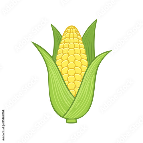Freshly Harvested Corn Cob with Green Husks and Yellow Kernels