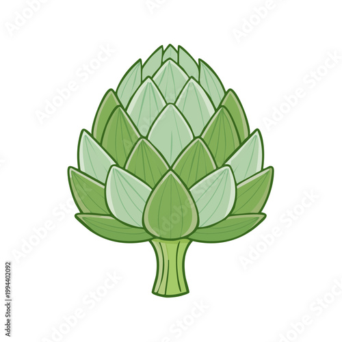 Fresh Green Artichoke Vegetable Illustration Healthy Food Ingredient