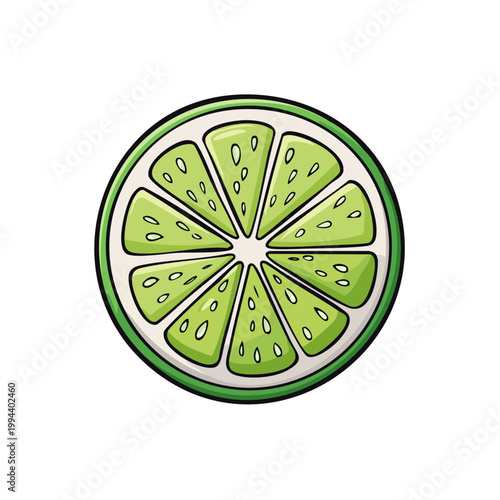 Vibrant lime slice illustration with segmented juicy pulp and white background