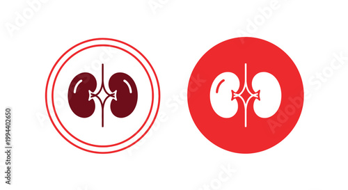 A depiction of human kidneys shown in both a red outline and solid red versions with internal structure
