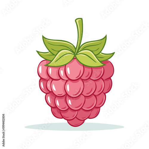 A single cartoon raspberry with green leaves and a stem illustration