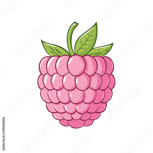 Cute pink raspberry with green leaves and stem isolated on white background illustration
