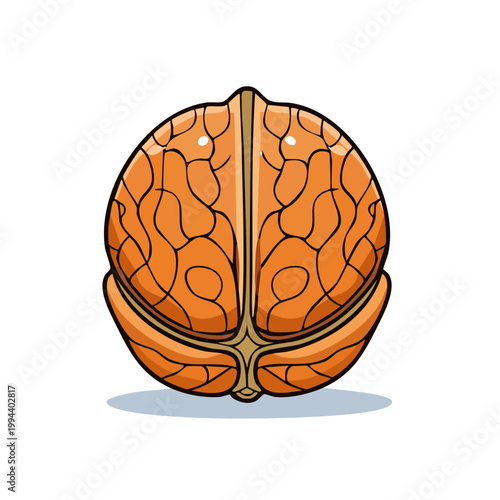 Stylized Cartoon Walnut Shell Showing Brain Like Texture and Healthy Food Concept