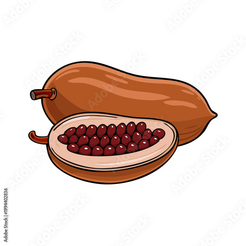 Hand drawn illustration of a whole papaya and a cut papaya showing seeds